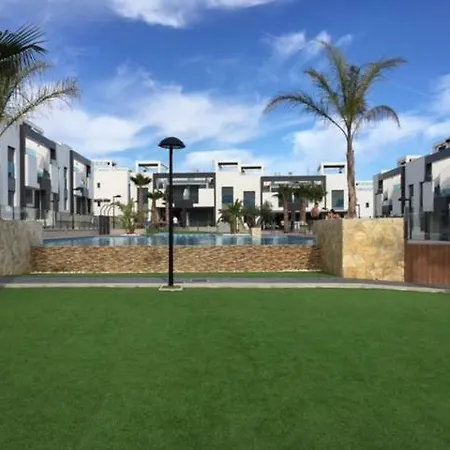 Oasis 7 *